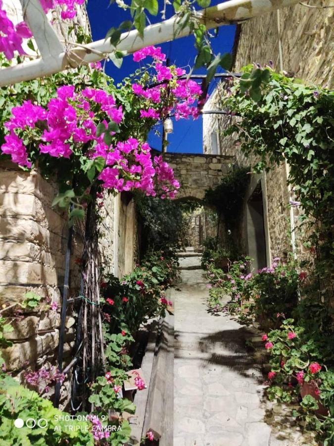 Penzion 7Kamares Pano Lefkara Exteriér fotografie